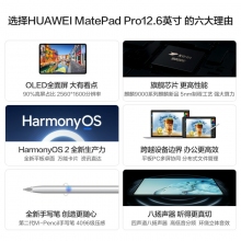 華為HUAWEI MatePad Pro 12.6英寸鴻蒙HarmonyOS系統(tǒng)OLED屏幕平板電腦學習8GB12GB內(nèi)存 前白后冰霜銀  